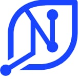Blue logo with letter N and connected dots representing network or connection concept