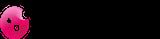 Check Point logo